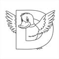 Animal alphabet. Capital letter D, Duck. For pre school education, kindergarten and foreign language learning